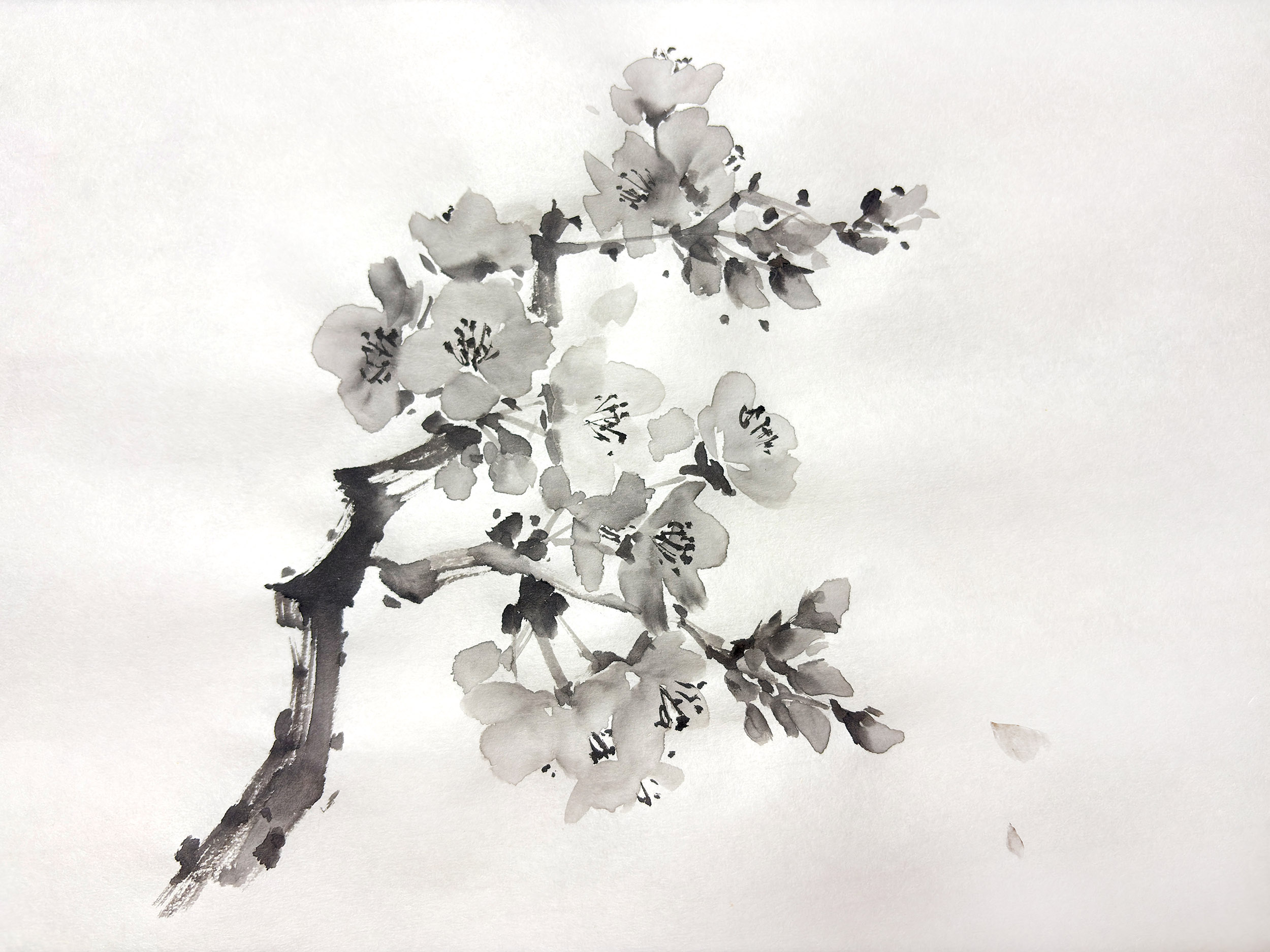 山口 なみ 作品 2